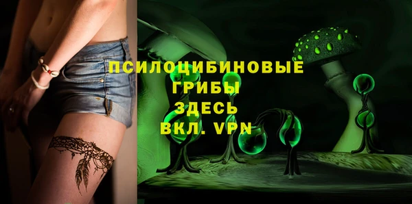 шишки Алексеевка