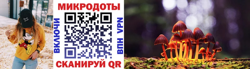 купить закладку  Дюртюли  Псилоцибиновые грибы GOLDEN TEACHER 
