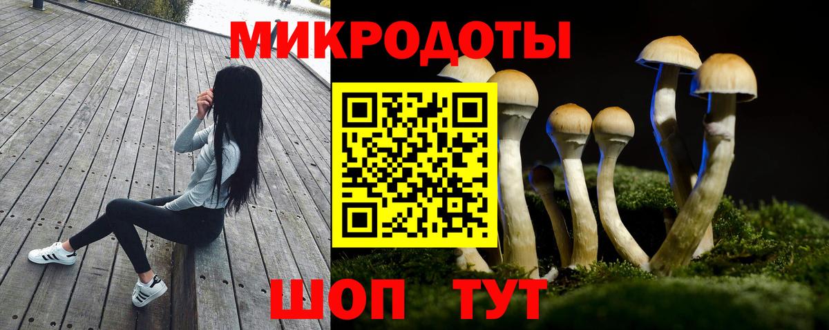 Галлюциногенные грибы GOLDEN TEACHER  Вход с VPN  Галлюциногенные грибы мицелий  Дюртюли 