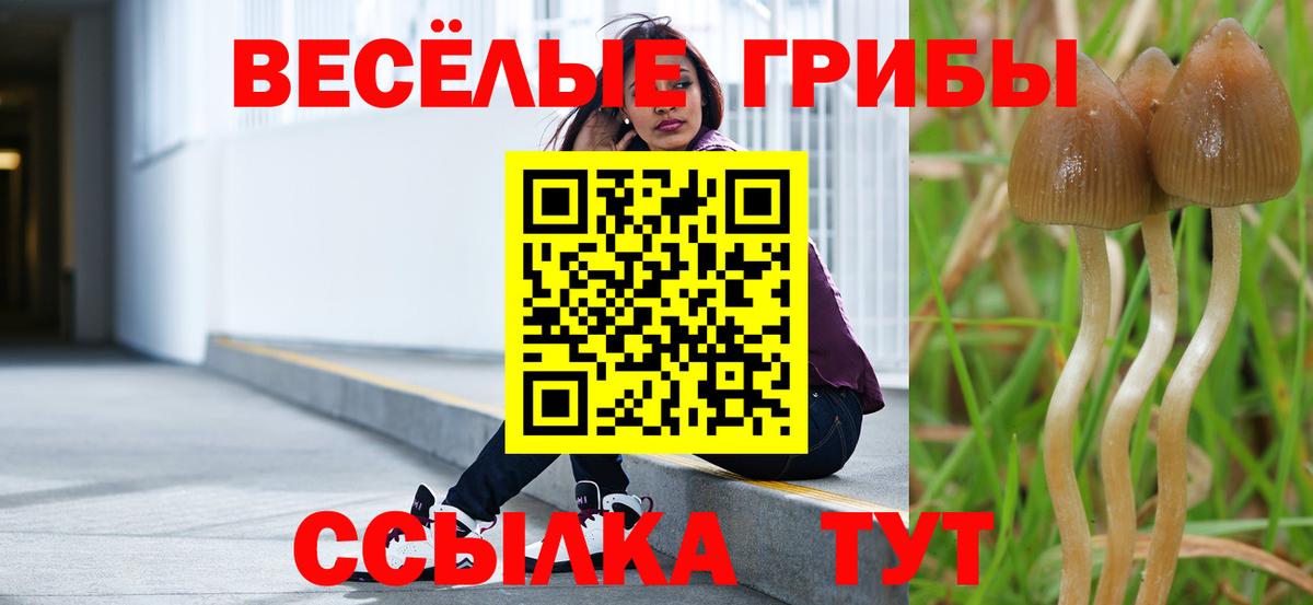 Галлюциногенные грибы Magic Shrooms Дюртюли